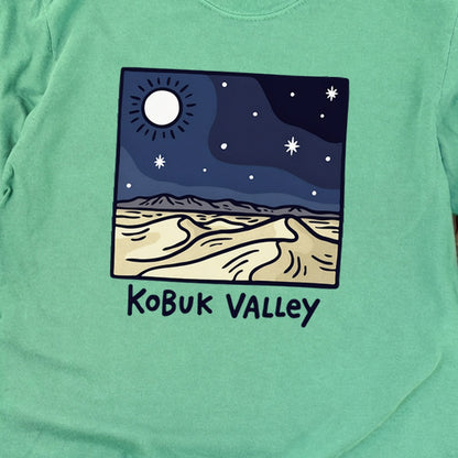 Kobuk Valley National Park at Night Premium Long Sleeve