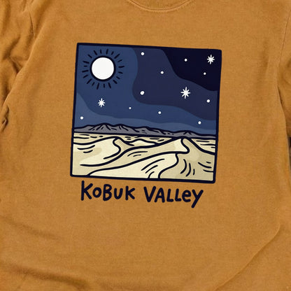 Kobuk Valley National Park at Night Premium Long Sleeve