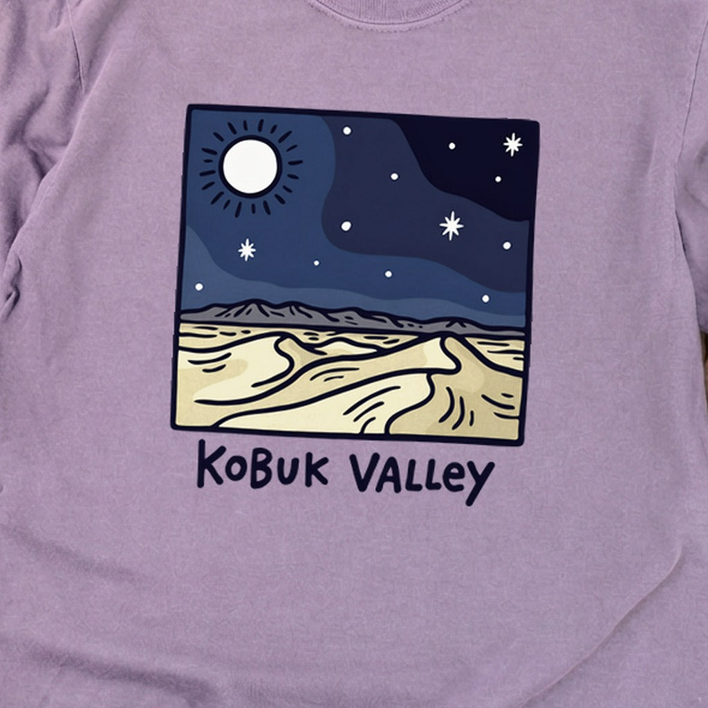 Kobuk Valley National Park at Night Premium Long Sleeve