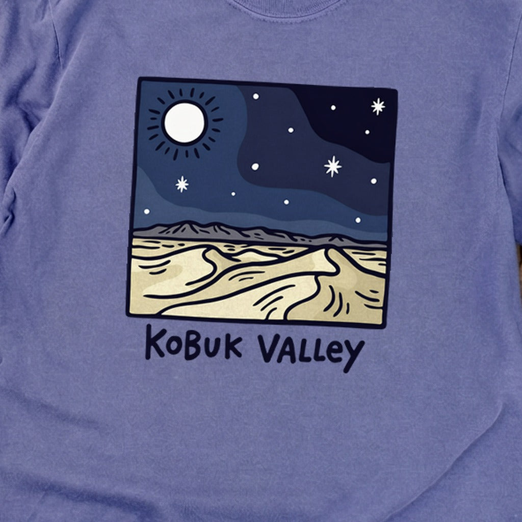 Kobuk Valley National Park at Night Premium Long Sleeve
