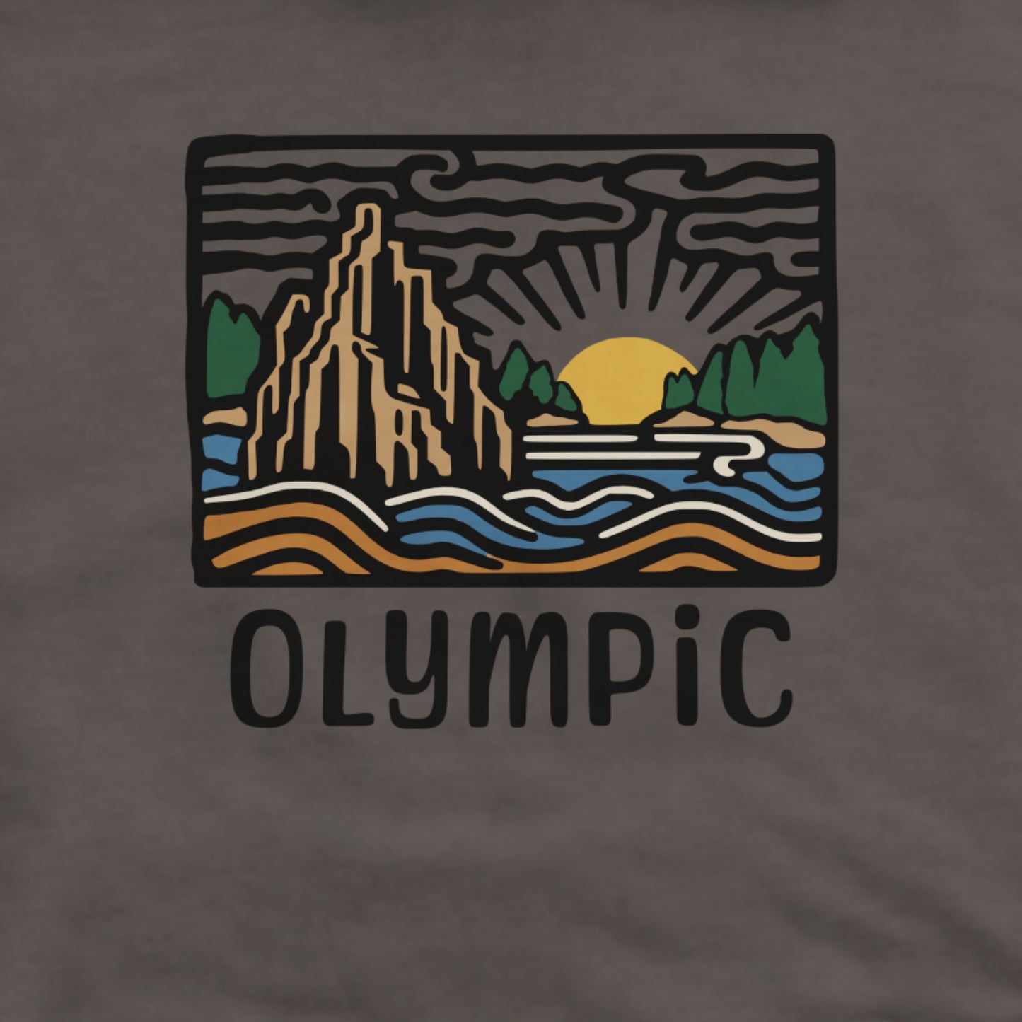 Olympic National Park Hoodie Adventure and Outdoors Themed Hoodie