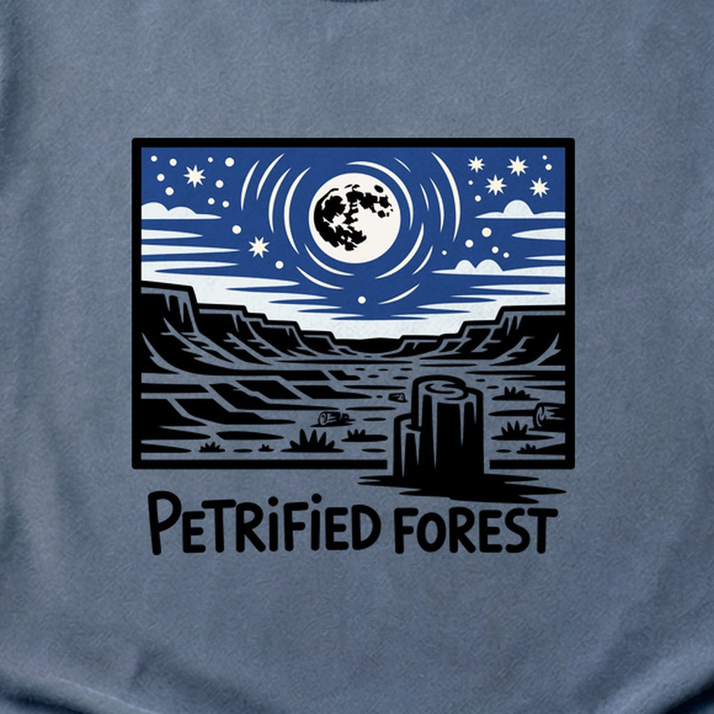 Petrified Forest National Park at Night Cotton T-Shirt