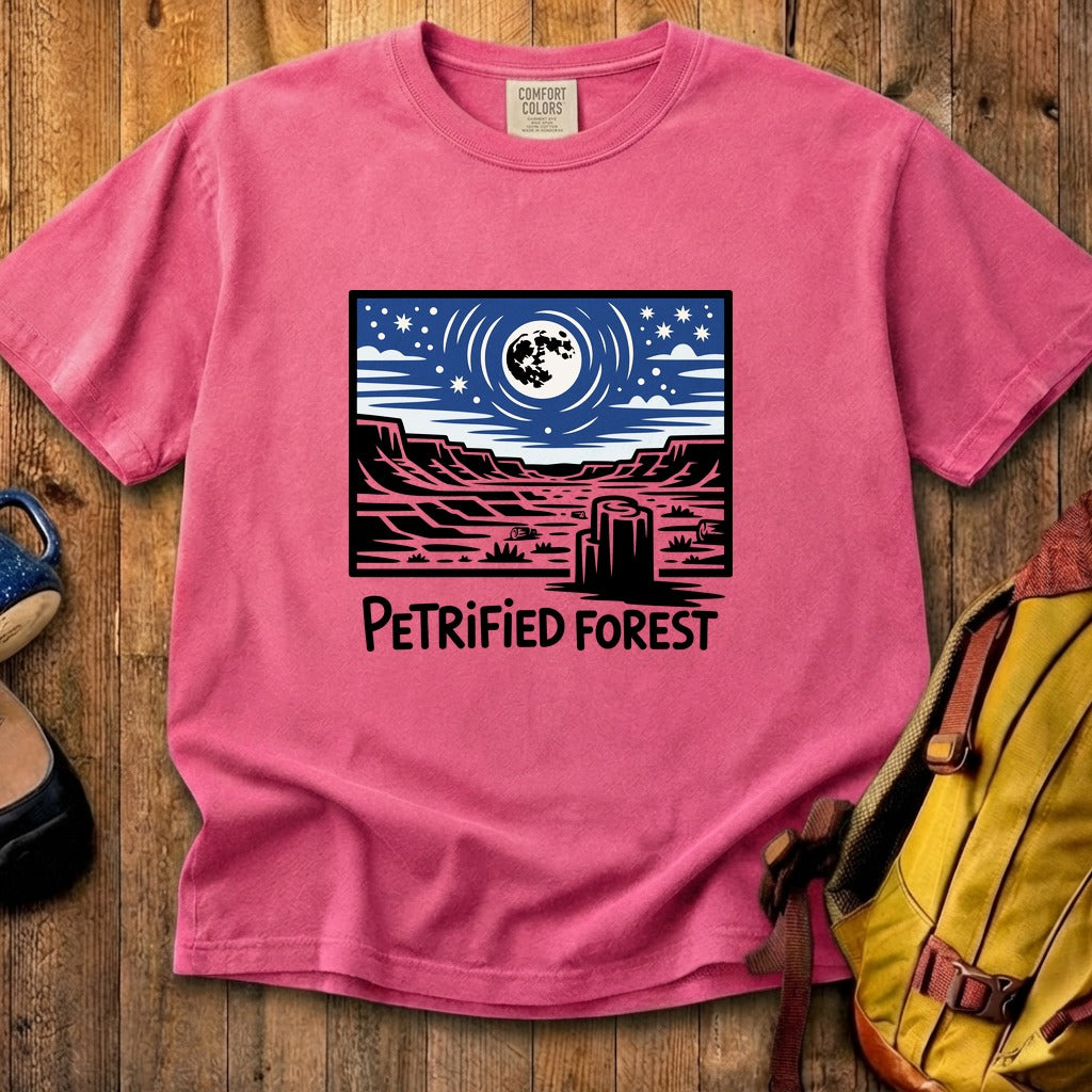 Petrified Forest National Park at Night Cotton T-Shirt