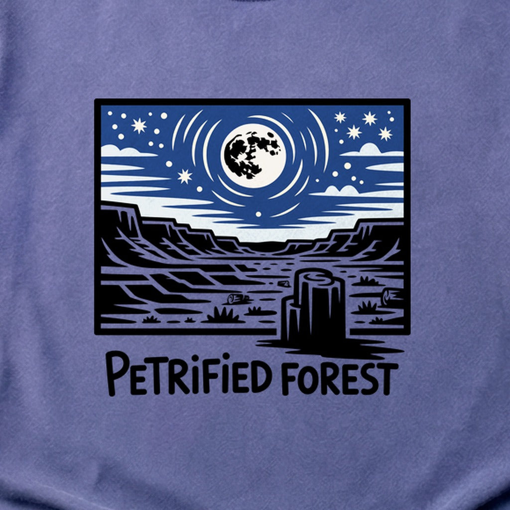 Petrified Forest National Park at Night Cotton T-Shirt