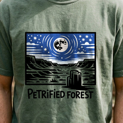 Petrified Forest National Park at Night Cotton T-Shirt