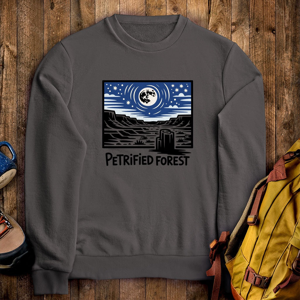 Petrified Forest National Park at Night Crewneck Sweatshirt