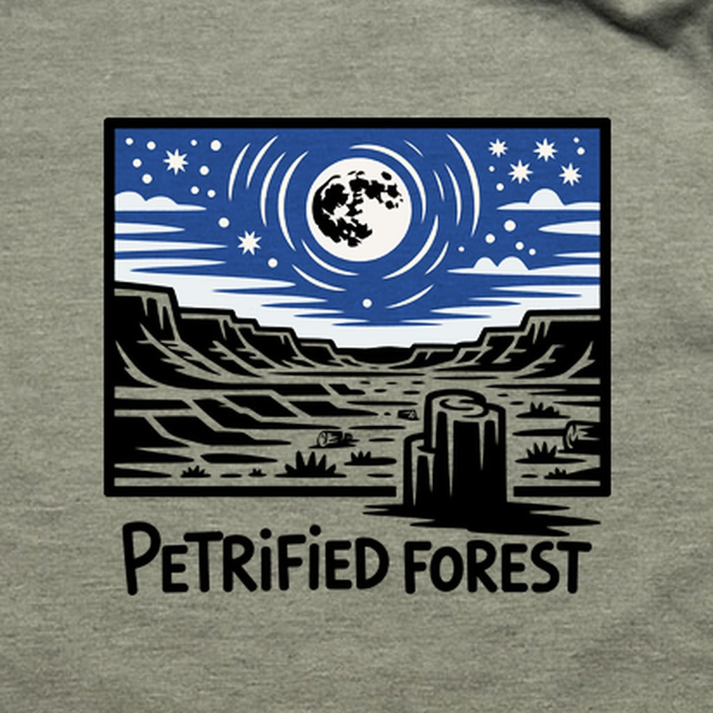 Petrified Forest National Park at Night T-Shirt