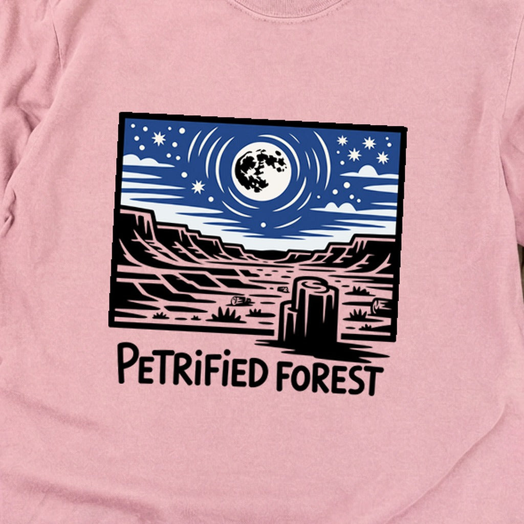 Petrified Forest National Park at Night Premium Long Sleeve