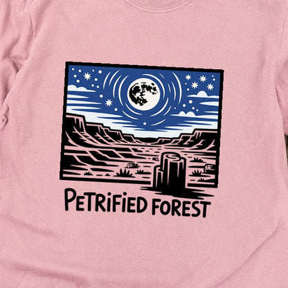 Petrified Forest National Park at Night Premium Long Sleeve