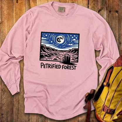 Petrified Forest National Park at Night Premium Long Sleeve