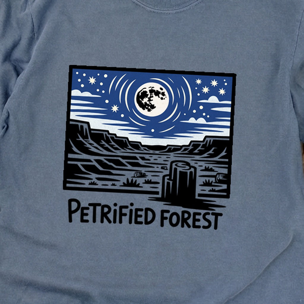 Petrified Forest National Park at Night Premium Long Sleeve