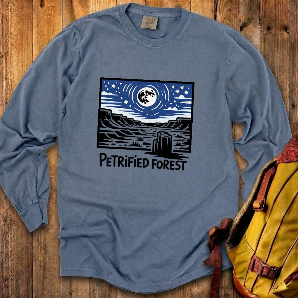 Petrified Forest National Park at Night Premium Long Sleeve