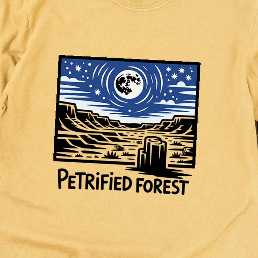 Petrified Forest National Park at Night Premium Long Sleeve