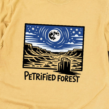 Petrified Forest National Park at Night Premium Long Sleeve
