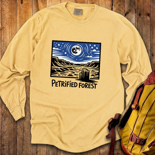 Petrified Forest National Park at Night Premium Long Sleeve
