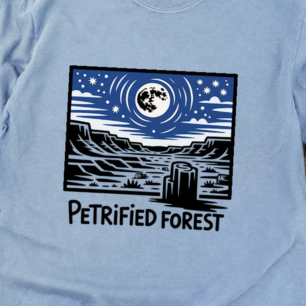 Petrified Forest National Park at Night Premium Long Sleeve