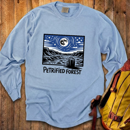 Petrified Forest National Park at Night Premium Long Sleeve