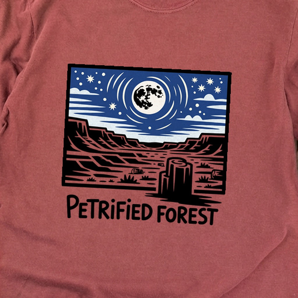 Petrified Forest National Park at Night Premium Long Sleeve