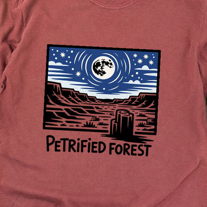 Petrified Forest National Park at Night Premium Long Sleeve