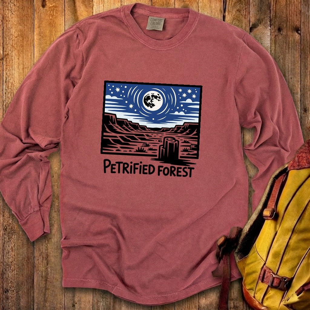 Petrified Forest National Park at Night Premium Long Sleeve