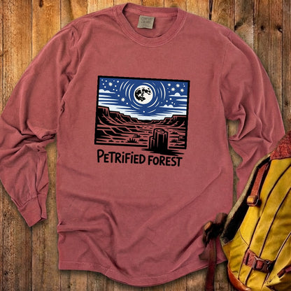 Petrified Forest National Park at Night Premium Long Sleeve
