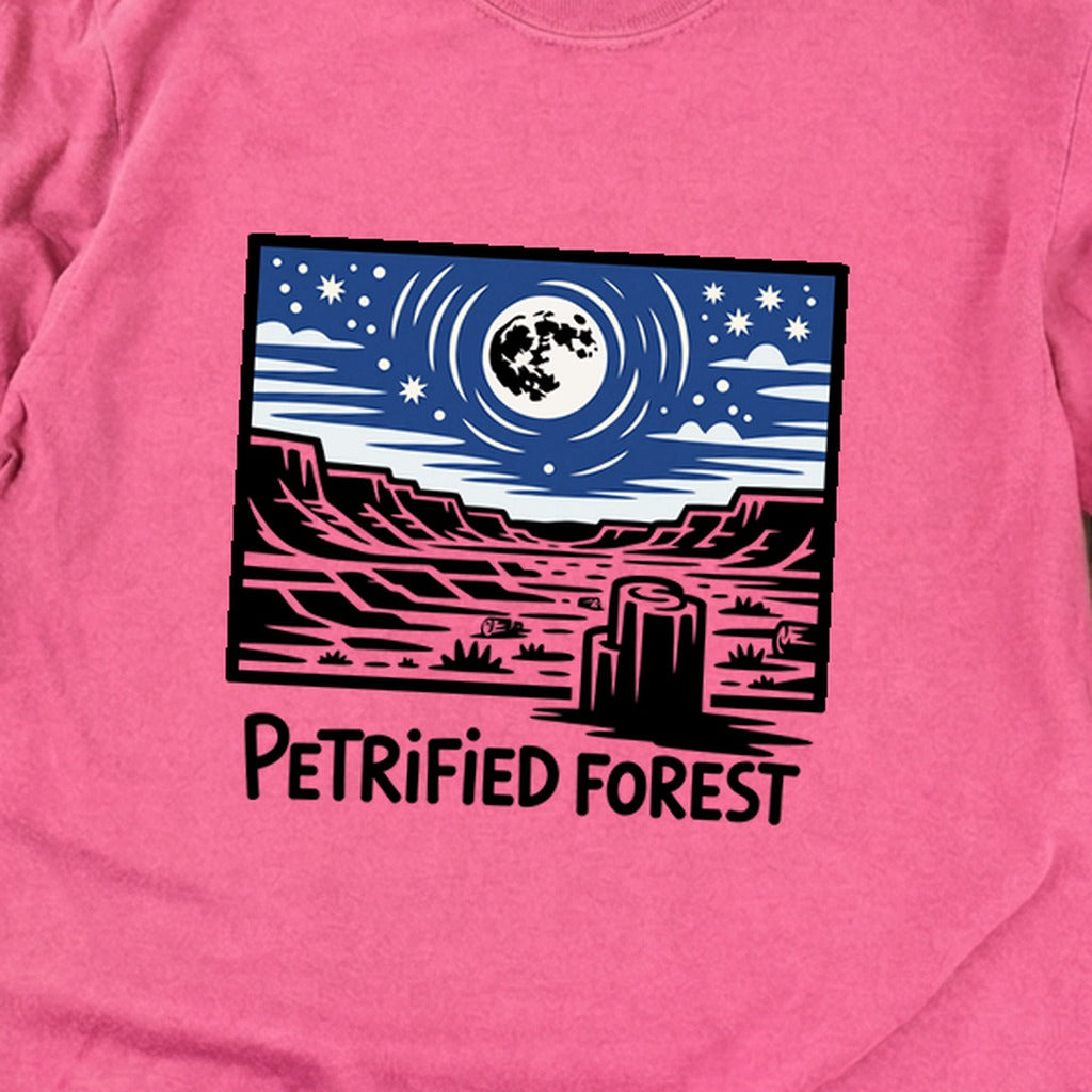 Petrified Forest National Park at Night Premium Long Sleeve