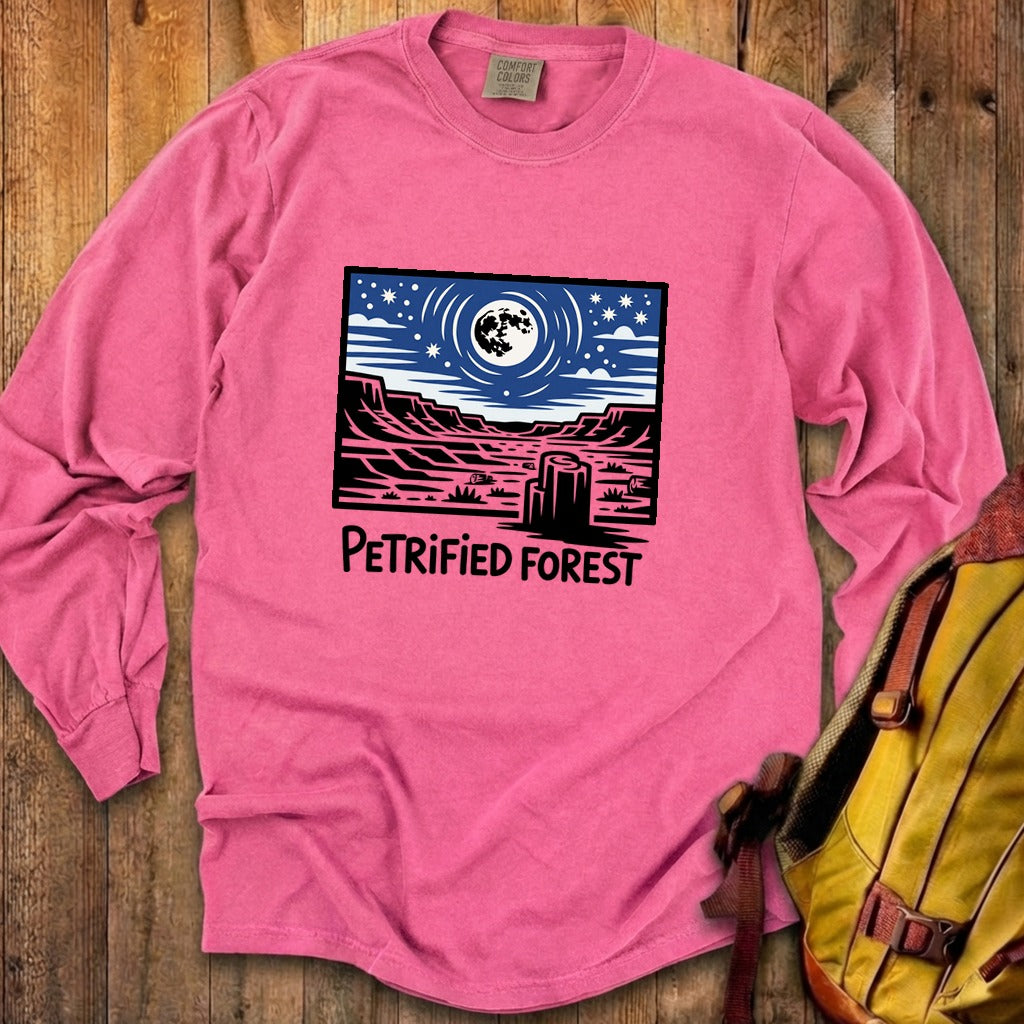Petrified Forest National Park at Night Premium Long Sleeve