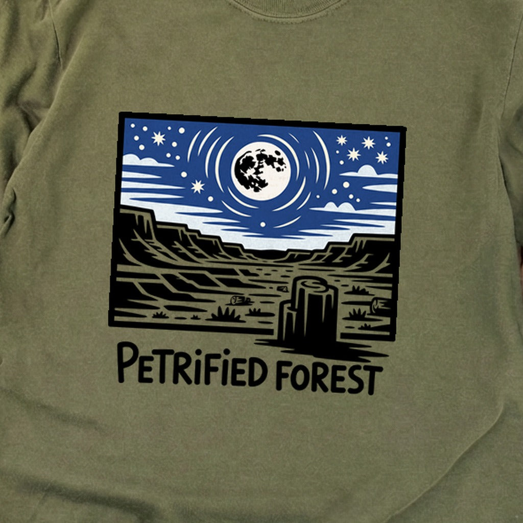 Petrified Forest National Park at Night Premium Long Sleeve