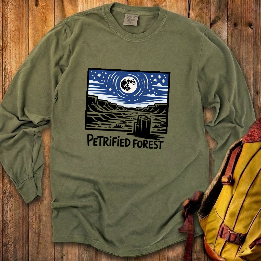 Petrified Forest National Park at Night Premium Long Sleeve