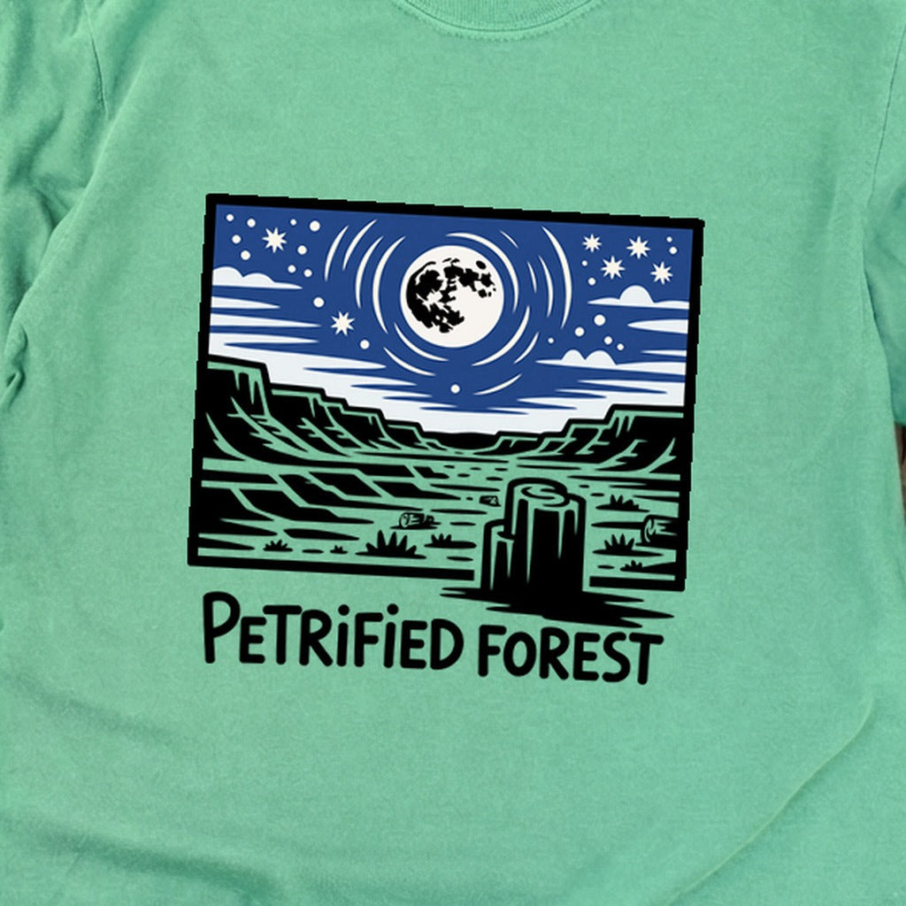 Petrified Forest National Park at Night Premium Long Sleeve