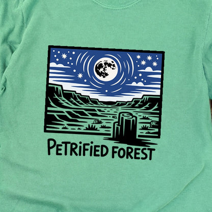 Petrified Forest National Park at Night Premium Long Sleeve