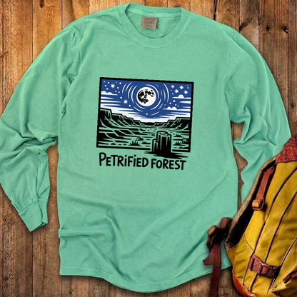 Petrified Forest National Park at Night Premium Long Sleeve