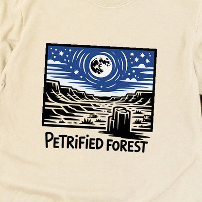 Petrified Forest National Park at Night Premium Long Sleeve