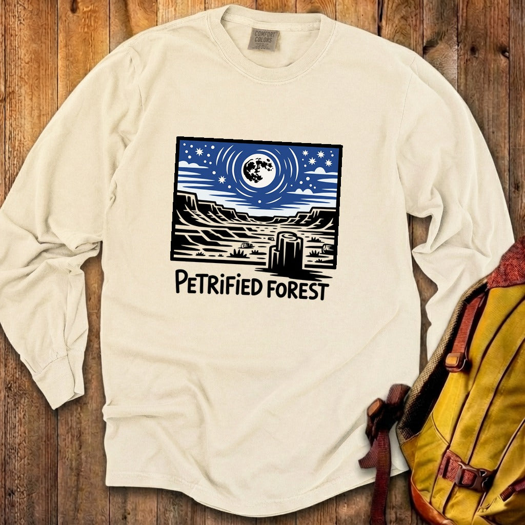 Petrified Forest National Park at Night Premium Long Sleeve