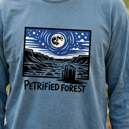 Petrified Forest National Park at Night Premium Long Sleeve