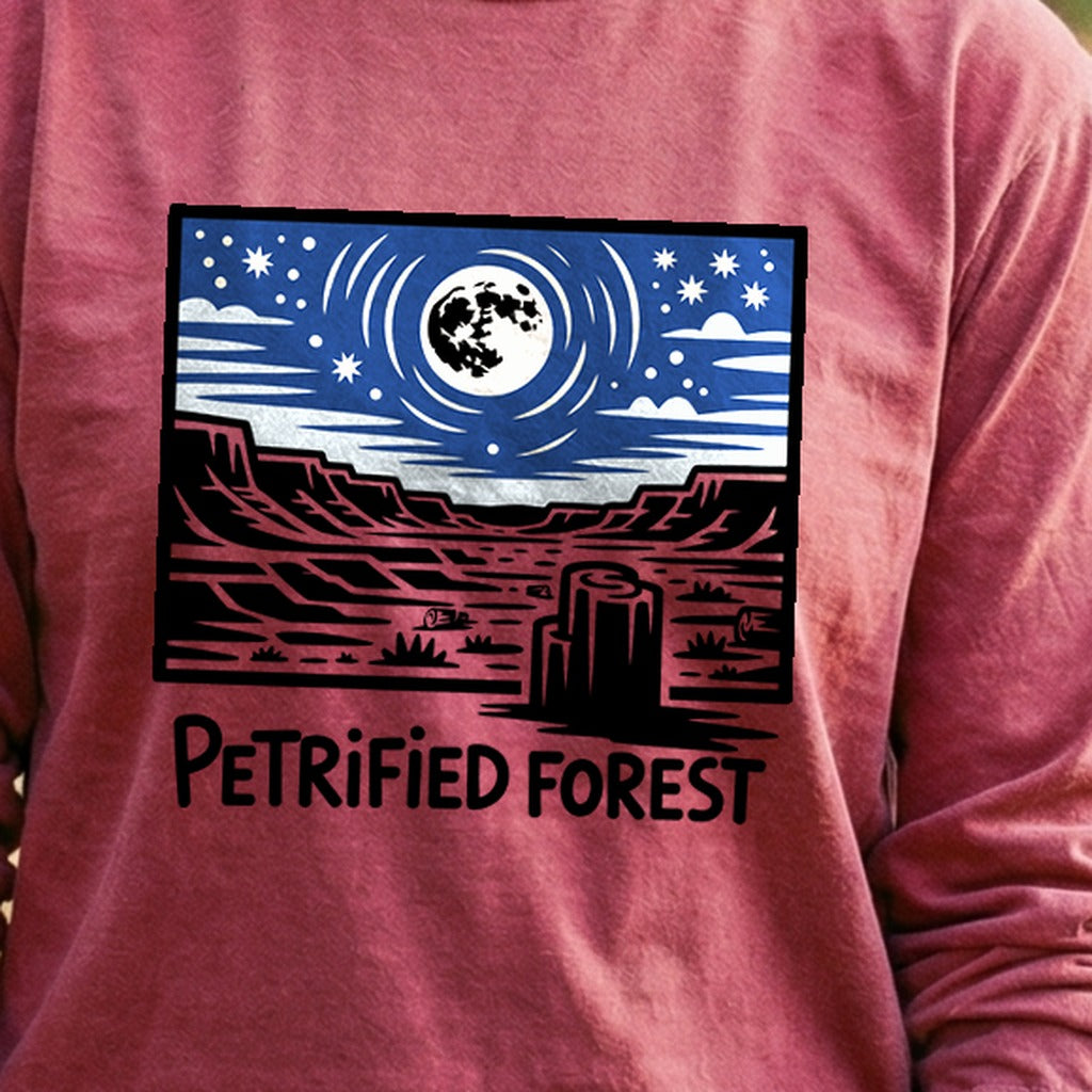 Petrified Forest National Park at Night Premium Long Sleeve