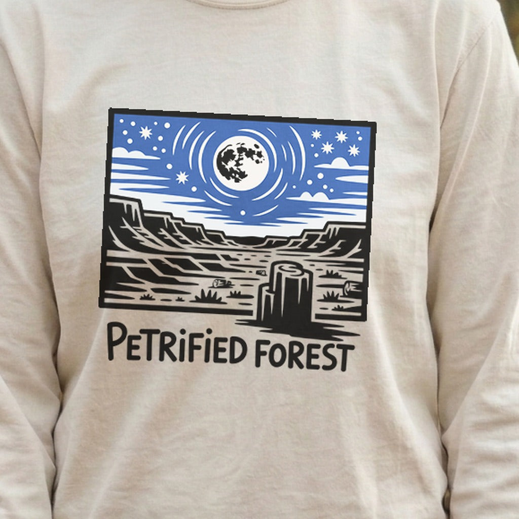 Petrified Forest National Park at Night Premium Long Sleeve
