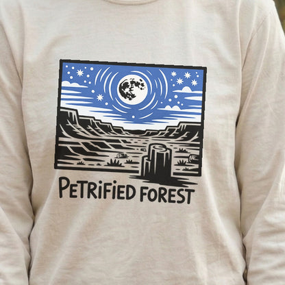 Petrified Forest National Park at Night Premium Long Sleeve