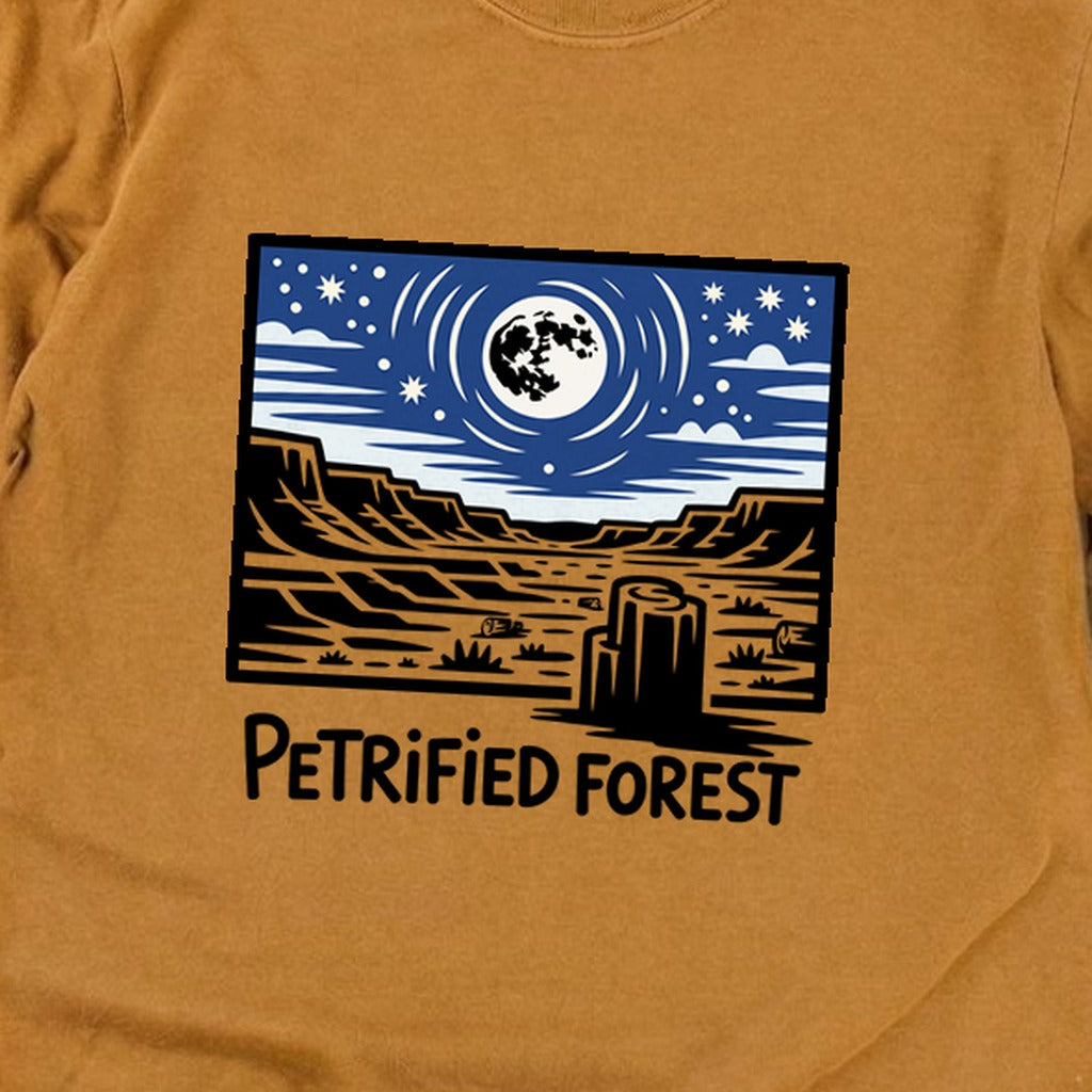 Petrified Forest National Park at Night Premium Long Sleeve