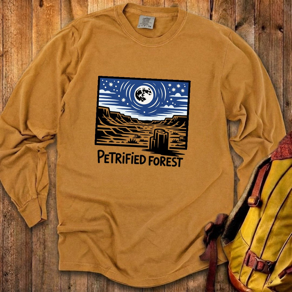 Petrified Forest National Park at Night Premium Long Sleeve