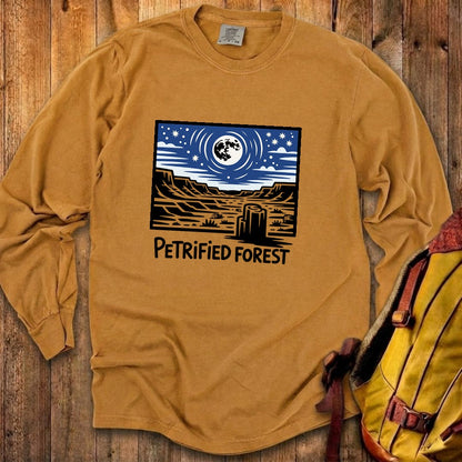 Petrified Forest National Park at Night Premium Long Sleeve