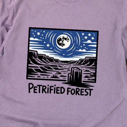 Petrified Forest National Park at Night Premium Long Sleeve