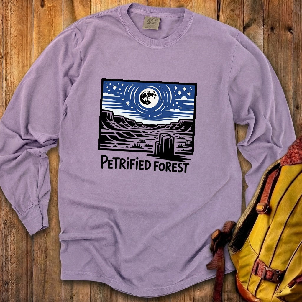 Petrified Forest National Park at Night Premium Long Sleeve