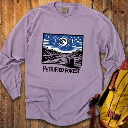 Petrified Forest National Park at Night Premium Long Sleeve