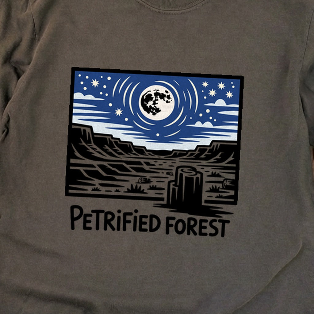 Petrified Forest National Park at Night Premium Long Sleeve
