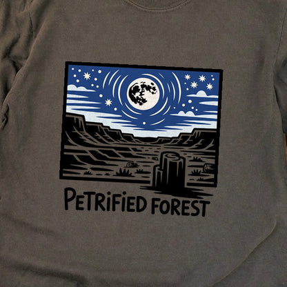 Petrified Forest National Park at Night Premium Long Sleeve