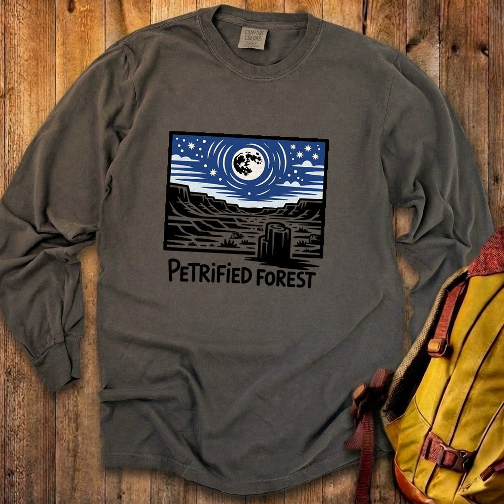 Petrified Forest National Park at Night Premium Long Sleeve