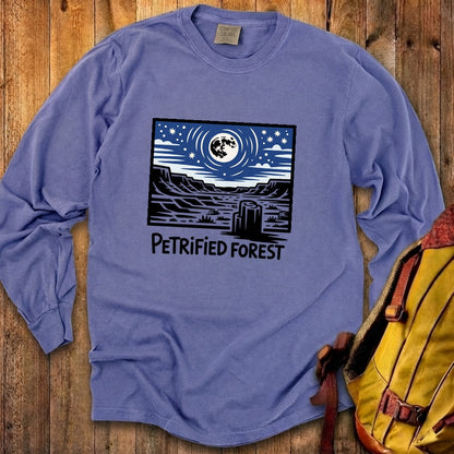 Petrified Forest National Park at Night Premium Long Sleeve