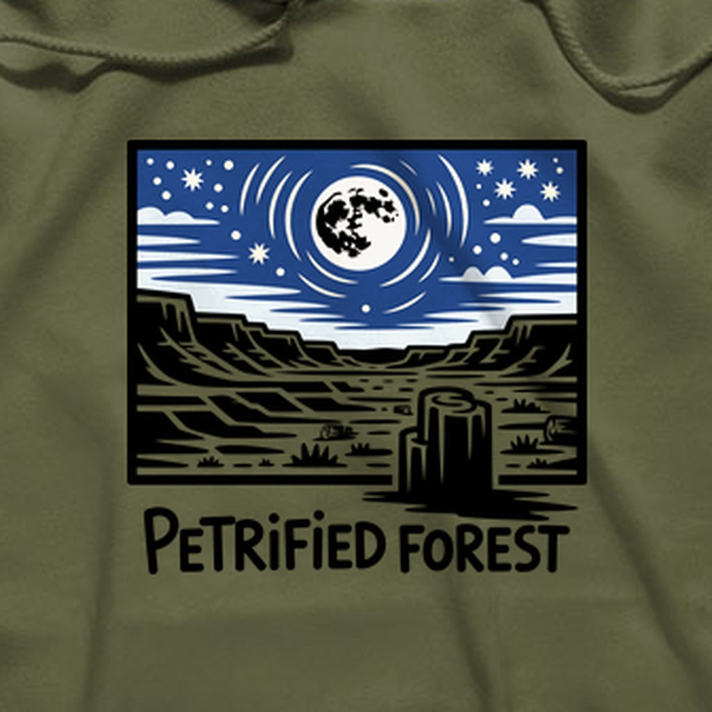 Petrified Forest National Park at Night Hoodie