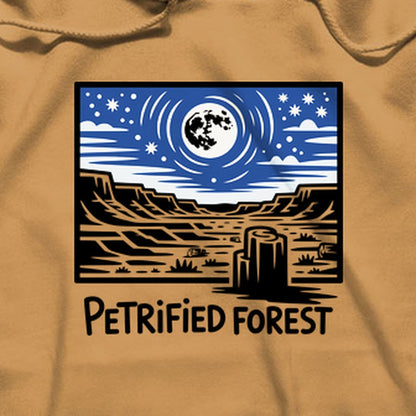 Petrified Forest National Park at Night Hoodie